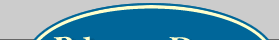 Blue Dog Web Design Company